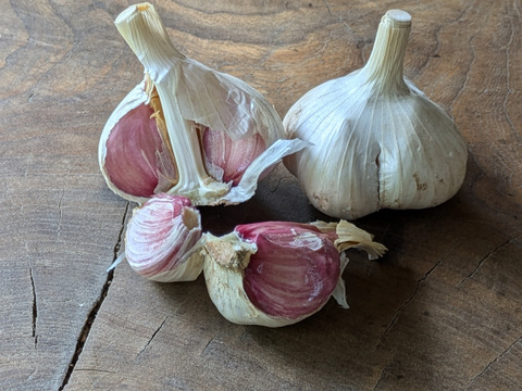 令和6年産】貴重な北海道在来種ニンニク中小1kg：北海道産の野菜｜食べ