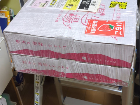 【新旧対決？】とちぎのいちご『とちあいか』・『とちおとめ』2種食べ比べセット（4パック）（260ｇ×4パック）【いちご食べ比べ】「熨斗対応可」