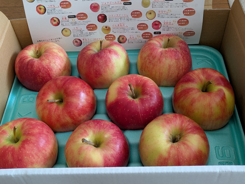 完売御礼🍎訳ありご家庭用🍎ジョナゴールド 3kg 農薬半減栽培✨ジューシーで爽やかな酸味🍎青森県特別栽培認証