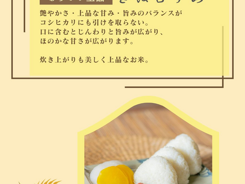 【玄米2kg×2袋】品種おまかせ食べ比べセット！令和7年産特別栽培米！1750年から続くお米農家が作った『縁起の竜王米』　滋賀県竜王町産 お米