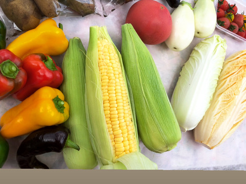 北海道十勝産】夏野菜セット（80サイズ）：北海道産の野菜セット｜食べ