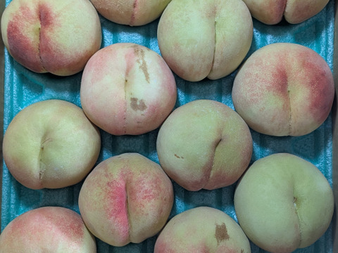 桃川中島白桃5kg16玉入り