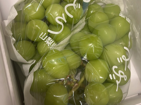 【予約販売！💚朝採れ山梨シャインマスカット】１キロ ２房でお届け！一度食べたら忘れられない 【生産量日本一の山梨県産】