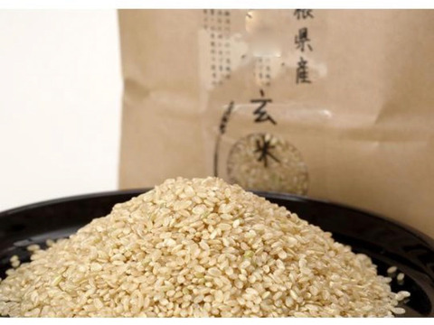 【農薬･化学肥料不使用玄米】この農園だけの美味しいお米【5kg】
