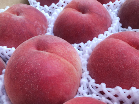 硬くて甘い桃！「なつっこ」(秀品) 約2㎏