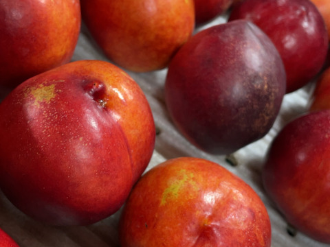 ※家庭用※ジューシーで甘酸っぱい！！夏にピッタリな『ネクタリン』2kg