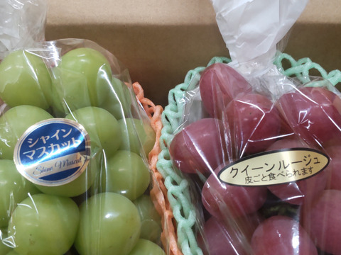 長野県産 「クイーンルージュ」「シャインマスカット」 2房入り 合計1000g