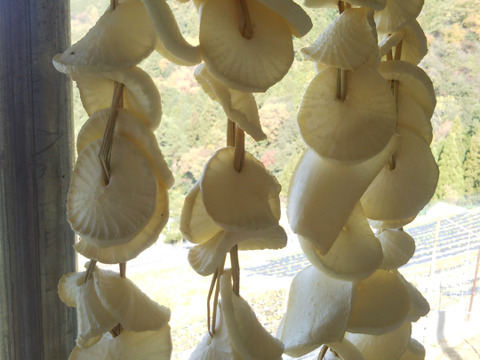 冬の「キクイモ」
春の「菜の花」
保存食「切干大根」　　
「菜の花」 150g入りを２パック
「キクイモ」400g入り1パック
「厚切り切干大根」25gx2パック
冬の露地栽培ゆえの農薬不使用栽培
