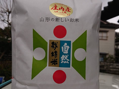 【 白米・10kg 】米の旨味たっぷり 自然栽培米 つや姫