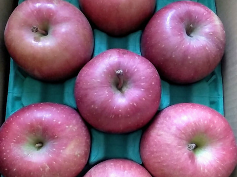 感謝お礼セール‼️とことん味にこだわりました💪😊🍎青森県産完熟葉取らずふじ家庭用キズあり約3kg‼️