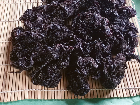 【期間限定】山形県産岩のり -５０ｇ