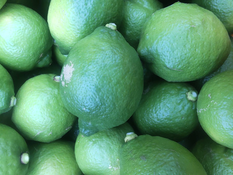 防腐剤、ワックス不使用　皮ごと使用激安広島県産レモン 訳あり品 4ｋg(約39個入)