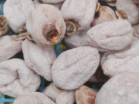 【送料込みで2400円】訳あり干し柿（市田柿）たっぷり1キロ！南信州産　一度食べたらやみつきに！！