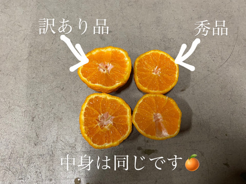 【予約特価】（家庭用）肥の豊　4キロ