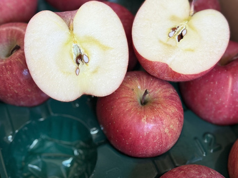 発送中　味濃く甘いシャキッと蜜入りサンフジ３キロ家庭用　１２個入り　※販売中　即発送