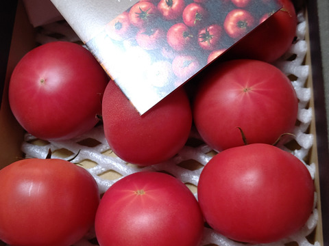 【北海道産】🍅樹上熟3段採り🍅桃太郎トマト2kg箱〈正品〉