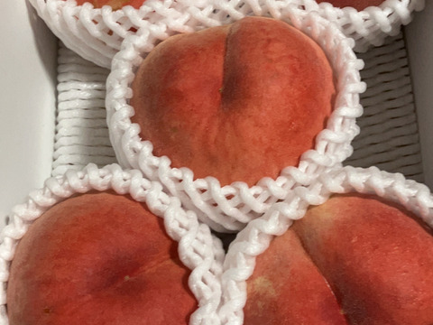 ずっと硬いもも】品種おまかせ🍑2キロ 🍑【ご家庭用桃】【訳あり
