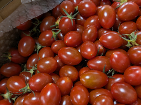 高糖度ミニトマト「あまりこ」2kg箱詰め