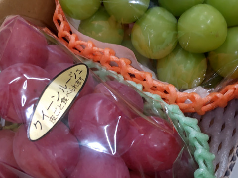 長野県産 「クイーンルージュ」「シャインマスカット」 2房入り × 2箱