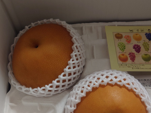 にっこり【ご家庭用】(3kg  )迫力の大きさで溢れる果汁！