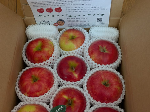【人気品種】サンジョナゴールド🍎約3キロ 8〜11玉《家庭用》ID164802