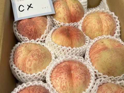 ラスト小玉！激レア‼️【CX】数量限定！3kg