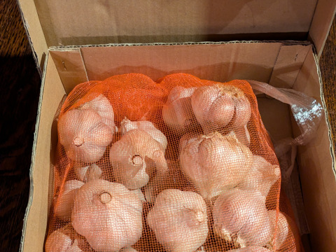 令和6年産】貴重な北海道在来種ニンニク中小1kg：北海道産の野菜｜食べ