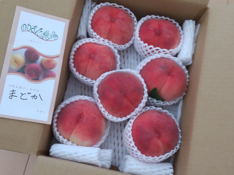 運命の出会い⁉️【67品種の桃を栽培】品種は何が届くかお楽しみ！白桃3㎏【夏ギフト】
