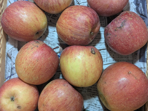 ふじリンゴ家庭用