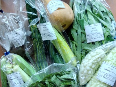 採れたて！季節の野菜セットSサイズ(固定種野菜・農薬不使用)