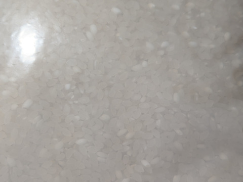 野菜(白菜、ネギ)、お米、リンゴの詰め合わせ