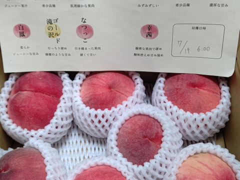 【かため桃】シャキッとかための桃好き必見！桃のリレーが楽しめる！約2kg 約5~6玉