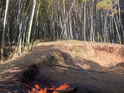 【春限定】シャキッと歯ごたえ！京都・長岡京産タケノコ【4Kg】