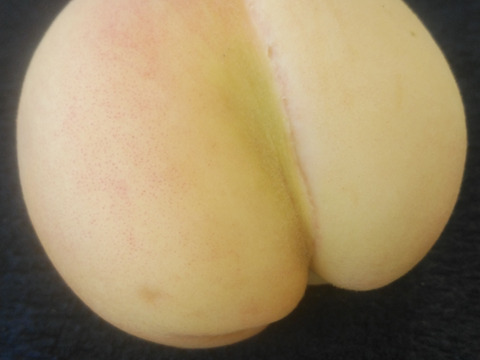 【お試し】【翌日着地域限定】【少々の生キズ有りの白桃🍑】5玉～6玉  【おかやま夢白桃・白麗】 1.5㎏～1.7㎏