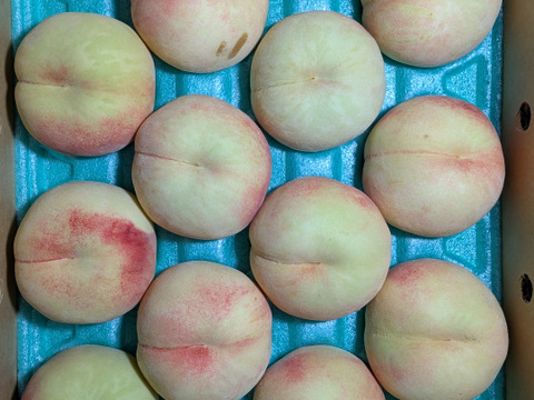 桃あかつき5㎏家庭用