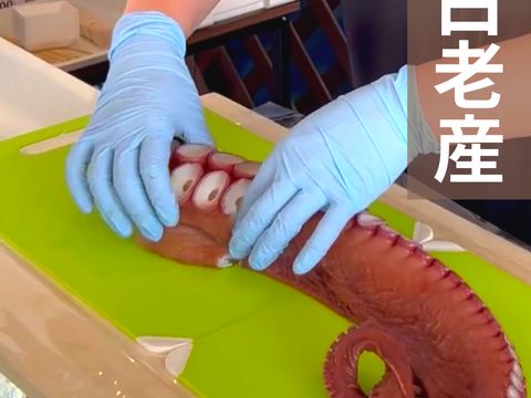 【インパクト大！】北海道白老産　活茹で水だこ（足）1.4㎏1本【1本真空加工】