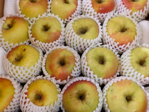 青森県産 ぐんま名月 りんご 加工用 20kg 産地直送 リンゴ 林檎百花千