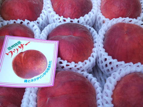 シャキっと美味しい❗️希少なワッサー(家庭用3㎏以上)