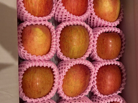 まるせい果樹園のサンふじ　贈答用　家庭用　自家用　小玉　約3キロ rfk