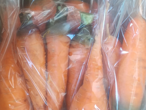 自然栽培の人参2kg