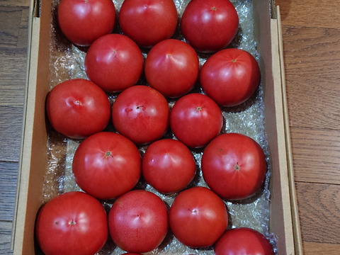 ジューシー完熟取りたて信州トマト（4kg詰め）
