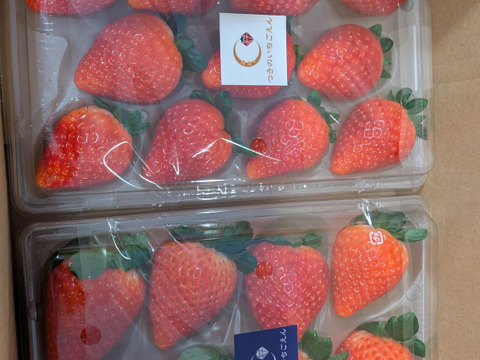 【1kg:4ケース】朝採れとちあいか　いちご生産量日本一の街からお届けします★