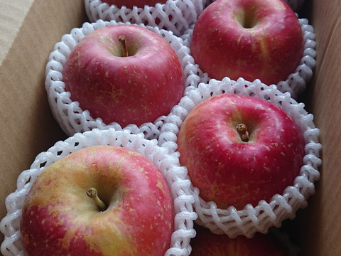 【🍎サンふじ】 小玉15個 (3㎏・家庭用)