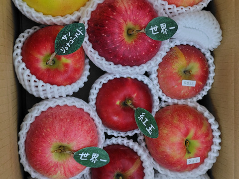 ★★大幅値下げ★★🍎【アワード受賞福袋】 【食べ比べ】(家庭用)5品種詰め合わせ🍎3キロ   おまかせ 商品ID171041 【冬ギフト】 りんご 青森 ミックス ギフト