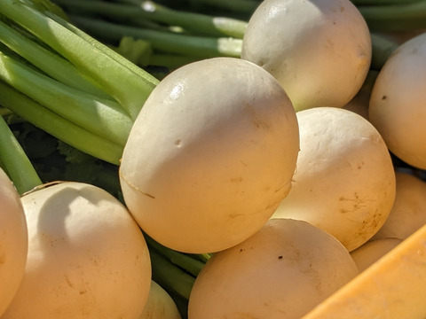 【とびっきりの甘熟野菜！】からだにやさしい野菜と新米セット