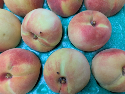 桃川中島白桃20玉