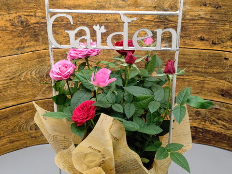 【遅れてごめんね母の日ギフト】コルダーナローズ・ガーデンバスケット