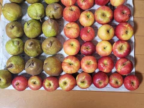 在庫わずか！紅玉ラフランス2種盛！お試しラフランス3キロ＋訳あり紅玉3キロ　合計6キロ以上。　農薬半減栽培で安心安全