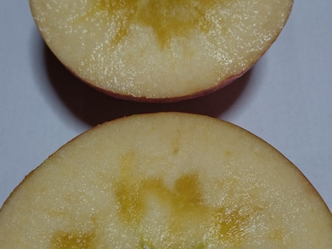 節減対象農薬：当地比5割減栽培、化学肥料除草剤不使用　長野りんご　サンふじ　5キロ