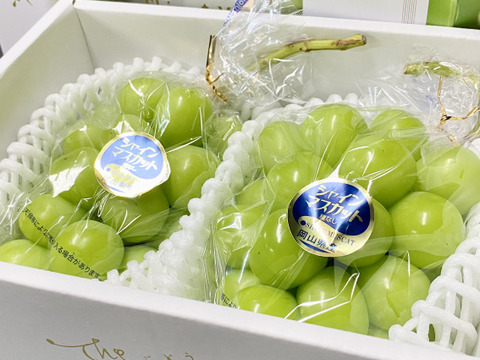 【厳選】岡山県産シャインマスカット【贈答用】　約750g×2房入り【夏ギフト】